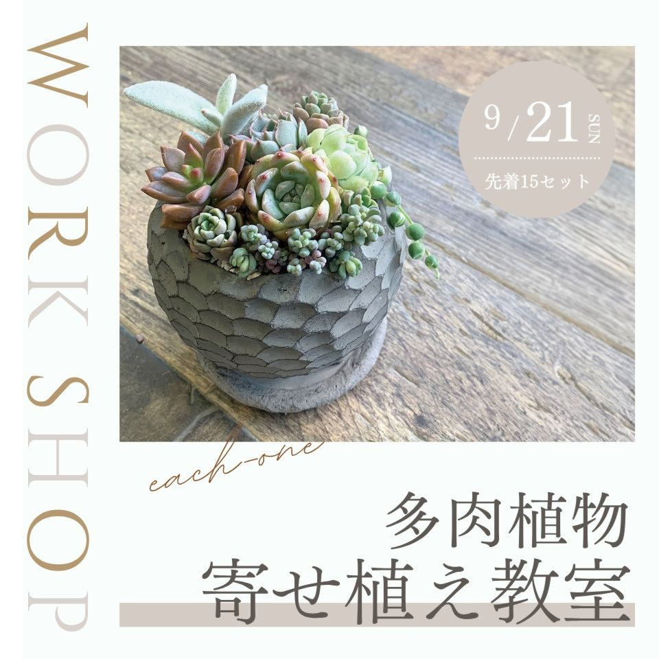 9/21多肉植物の寄せ植え教室